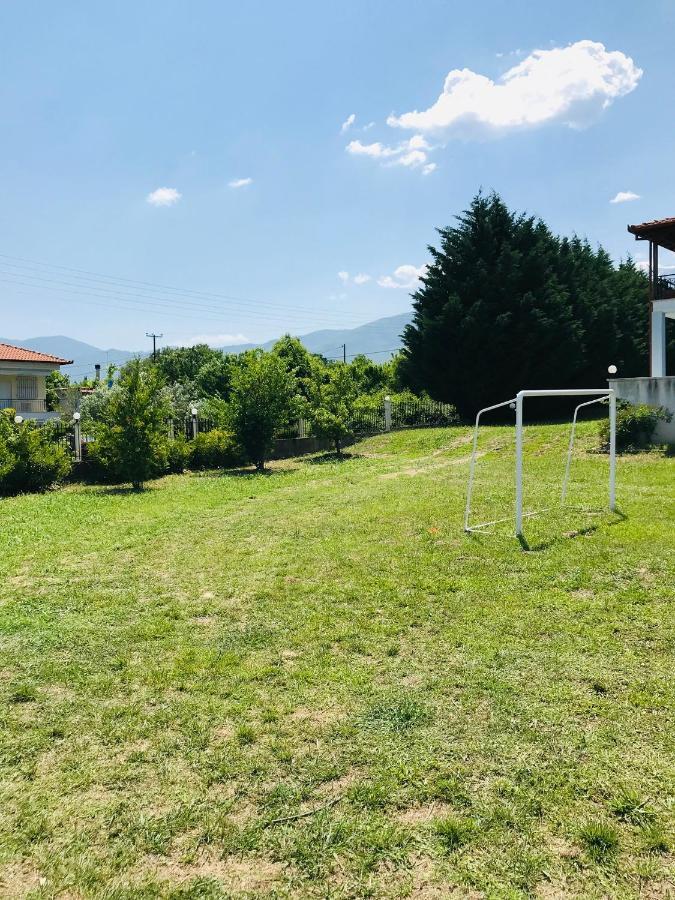 Dimeli Villa Litóchoron Dış mekan fotoğraf