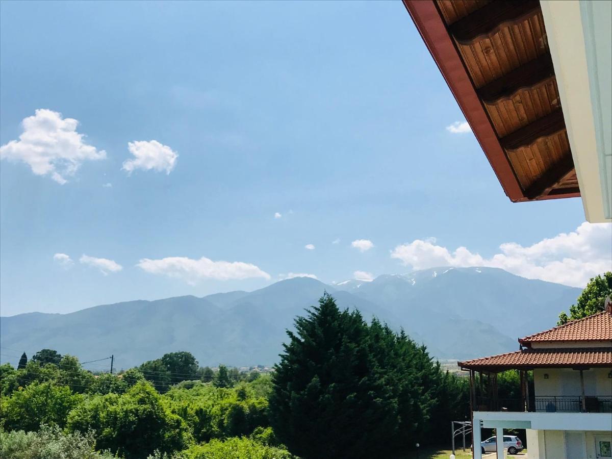 Dimeli Villa Litóchoron Dış mekan fotoğraf